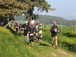 mini_trail-2015-20-et-30km-55745631a7e55.jpg